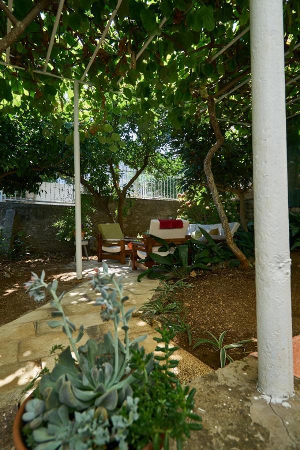 Aspidistra Shadow Διαμέρισμα Ντουμπρόβνικ Εξωτερικό φωτογραφία