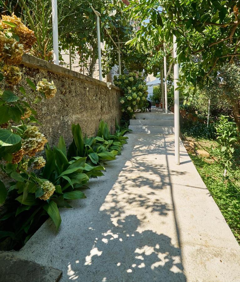 Aspidistra Shadow Διαμέρισμα Ντουμπρόβνικ Εξωτερικό φωτογραφία